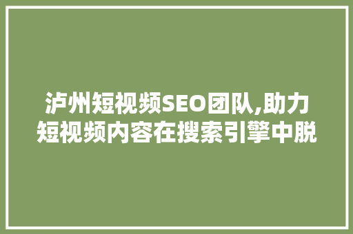 泸州短视频SEO团队,助力短视频内容在搜索引擎中脱颖而出