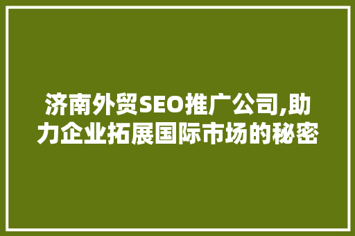 济南外贸SEO推广公司,助力企业拓展国际市场的秘密武器