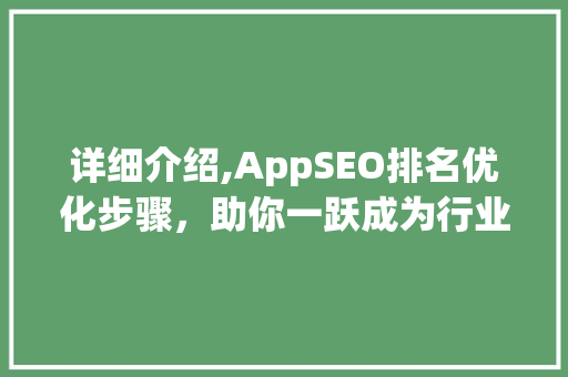 详细介绍,AppSEO排名优化步骤，助你一跃成为行业佼佼者