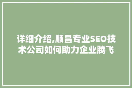 详细介绍,顺昌专业SEO技术公司如何助力企业腾飞