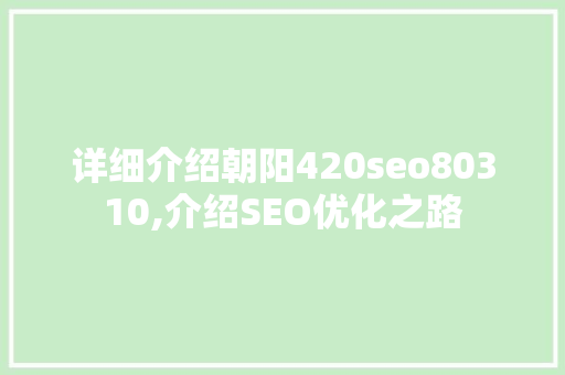 详细介绍朝阳420seo80310,介绍SEO优化之路