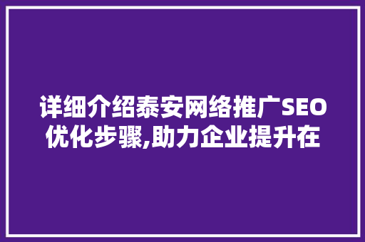 详细介绍泰安网络推广SEO优化步骤,助力企业提升在线竞争力