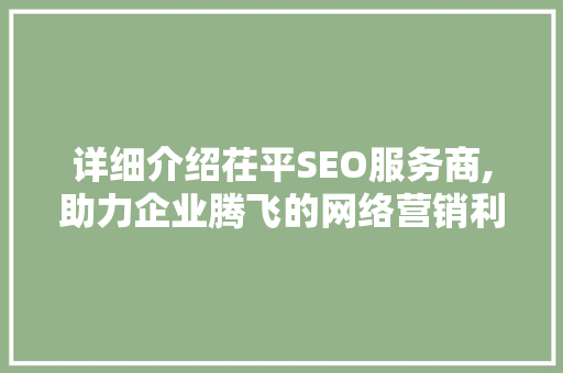 详细介绍茌平SEO服务商,助力企业腾飞的网络营销利器