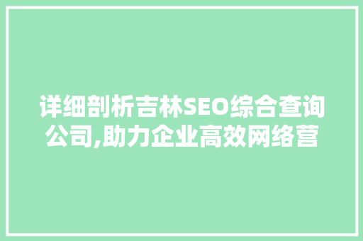 详细剖析吉林SEO综合查询公司,助力企业高效网络营销