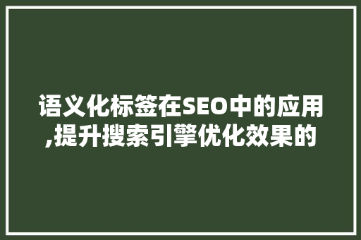 语义化标签在SEO中的应用,提升搜索引擎优化效果的方法