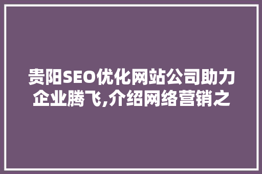 贵阳SEO优化网站公司助力企业腾飞,介绍网络营销之路