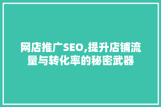 网店推广SEO,提升店铺流量与转化率的秘密武器