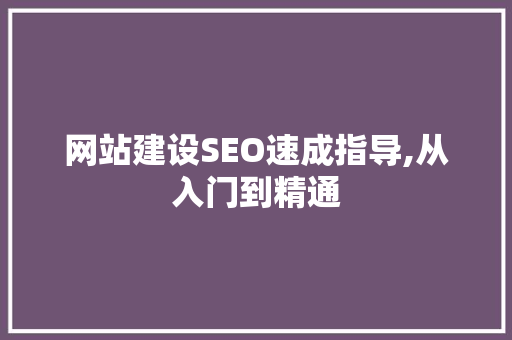 网站建设SEO速成指导,从入门到精通