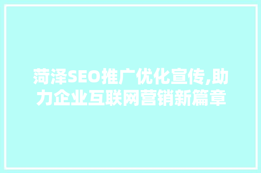 菏泽SEO推广优化宣传,助力企业互联网营销新篇章