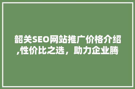 韶关SEO网站推广价格介绍,性价比之选，助力企业腾飞
