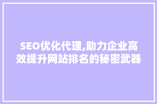 SEO优化代理,助力企业高效提升网站排名的秘密武器