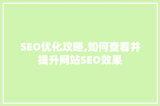 SEO优化攻略,如何查看并提升网站SEO效果