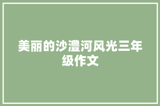 SEO优化步骤,介绍百度搜索排名之路