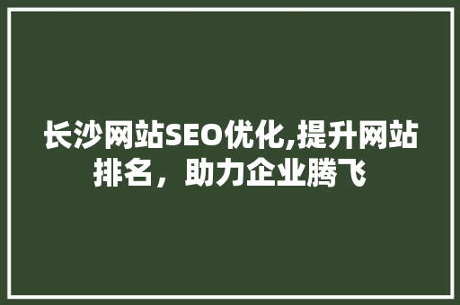 长沙网站SEO优化,提升网站排名，助力企业腾飞