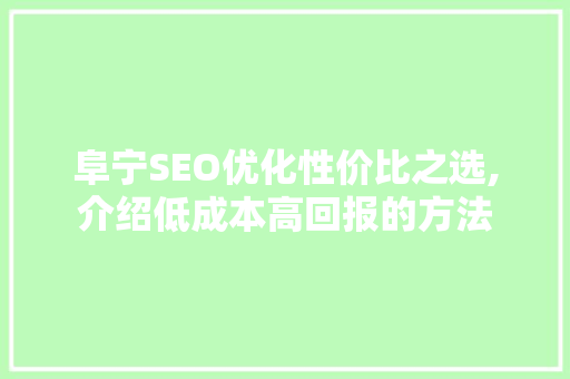 阜宁SEO优化性价比之选,介绍低成本高回报的方法