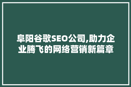 阜阳谷歌SEO公司,助力企业腾飞的网络营销新篇章