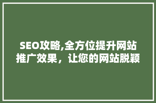 SEO攻略,全方位提升网站推广效果，让您的网站脱颖而出