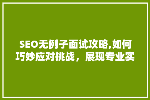 SEO无例子面试攻略,如何巧妙应对挑战，展现专业实力