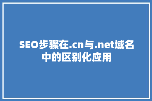 SEO步骤在.cn与.net域名中的区别化应用