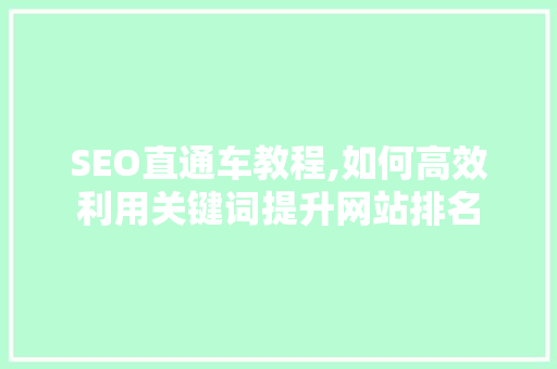SEO直通车教程,如何高效利用关键词提升网站排名