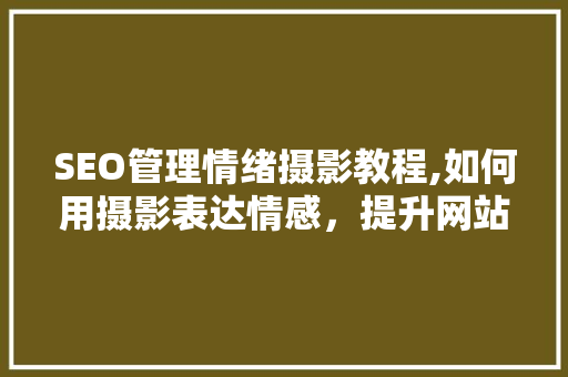 SEO管理情绪摄影教程,如何用摄影表达情感，提升网站流量
