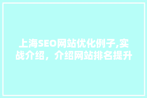上海SEO网站优化例子,实战介绍，介绍网站排名提升之路