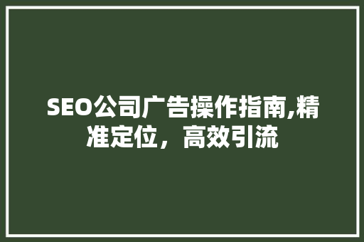 SEO公司广告操作指南,精准定位，高效引流