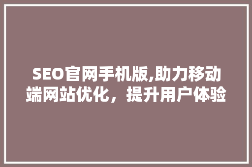 SEO官网手机版,助力移动端网站优化，提升用户体验与搜索引擎排名