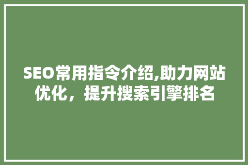 SEO常用指令介绍,助力网站优化，提升搜索引擎排名