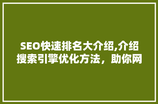 SEO快速排名大介绍,介绍搜索引擎优化方法，助你网站飞升