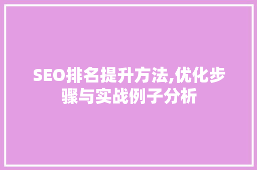 SEO排名提升方法,优化步骤与实战例子分析