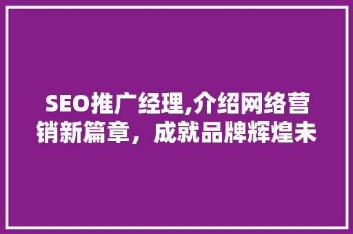 SEO推广经理,介绍网络营销新篇章，成就品牌辉煌未来